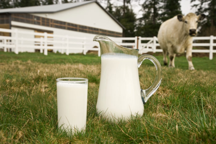 dairy-farming-project